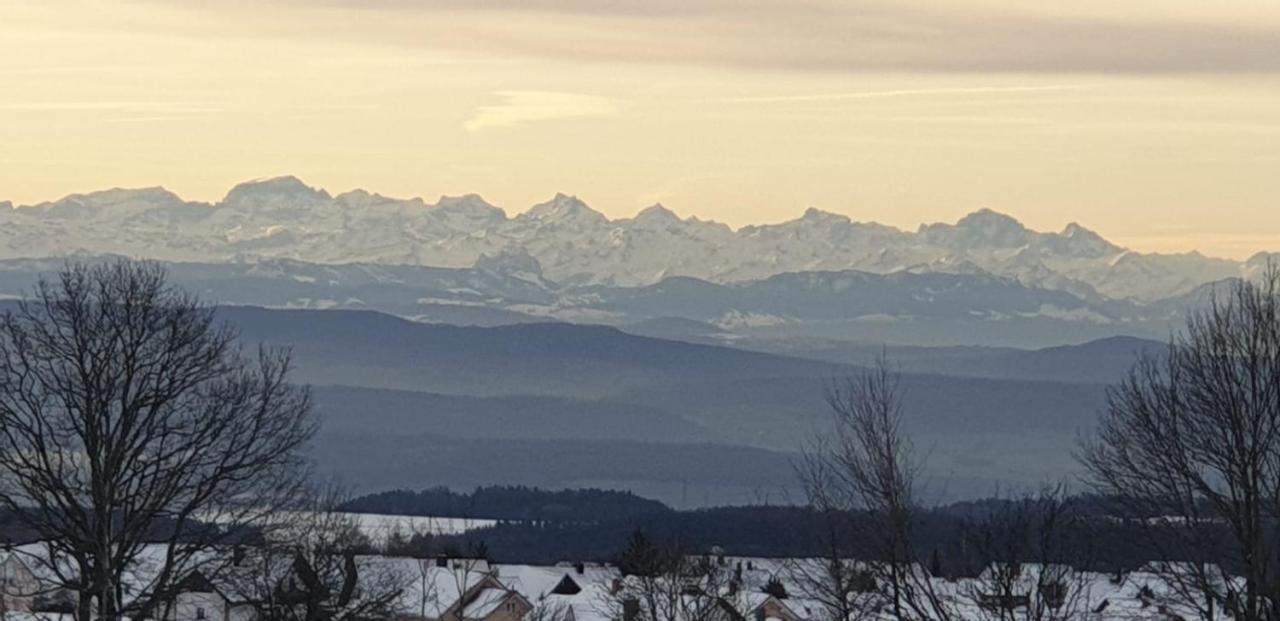 Ferienwohnung Francois Hoechenschwand Bagian luar foto