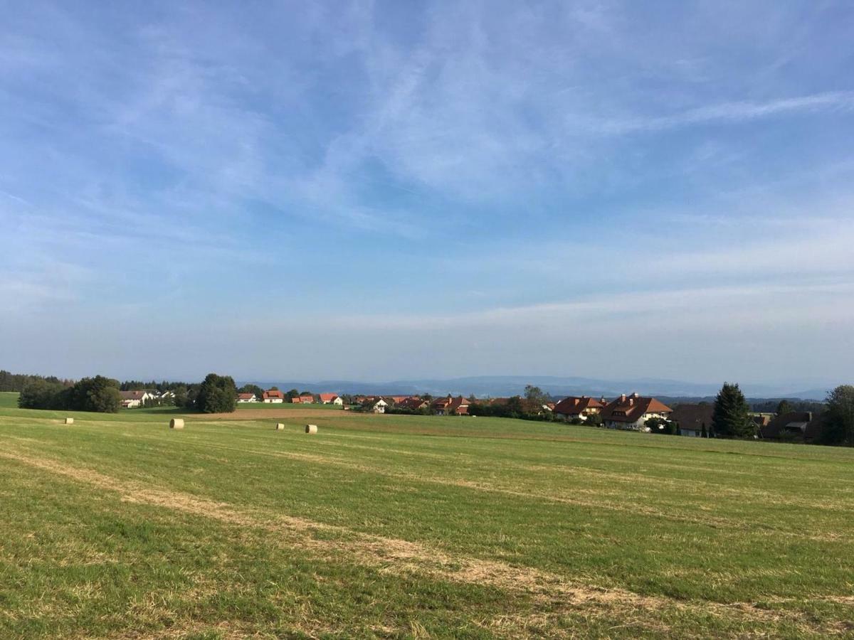 Ferienwohnung Francois Hoechenschwand Bagian luar foto
